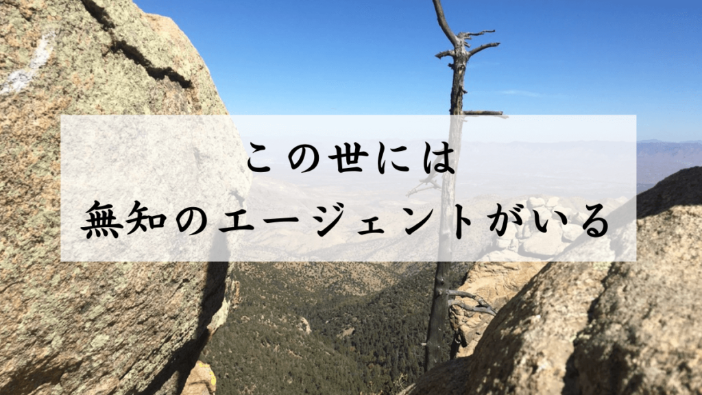 私が出会った無知のエージェント【実話】