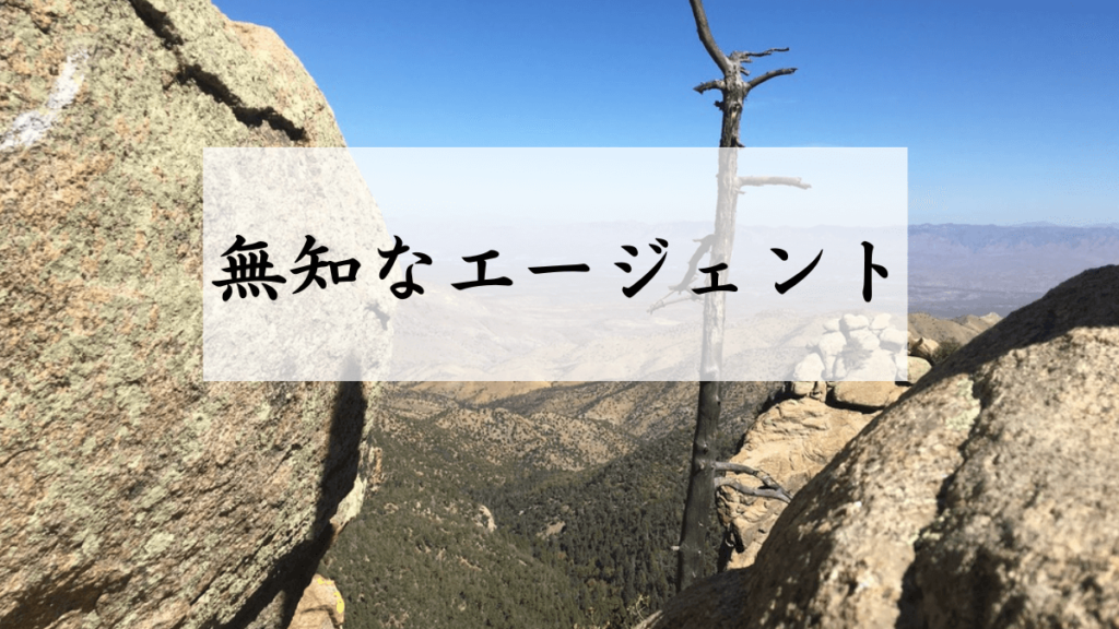 エージェントが無知なこともある