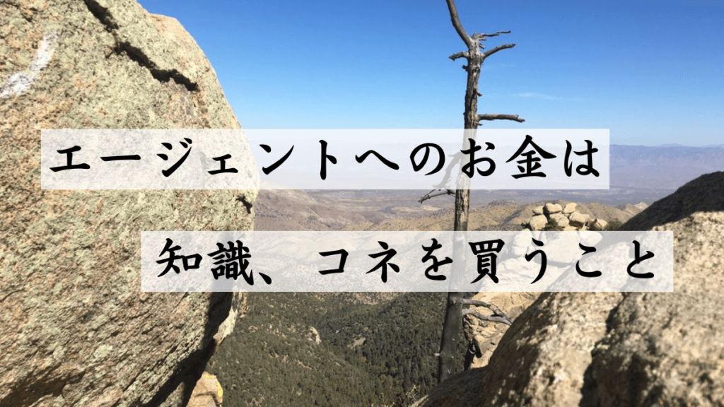 エージェントを使うなら