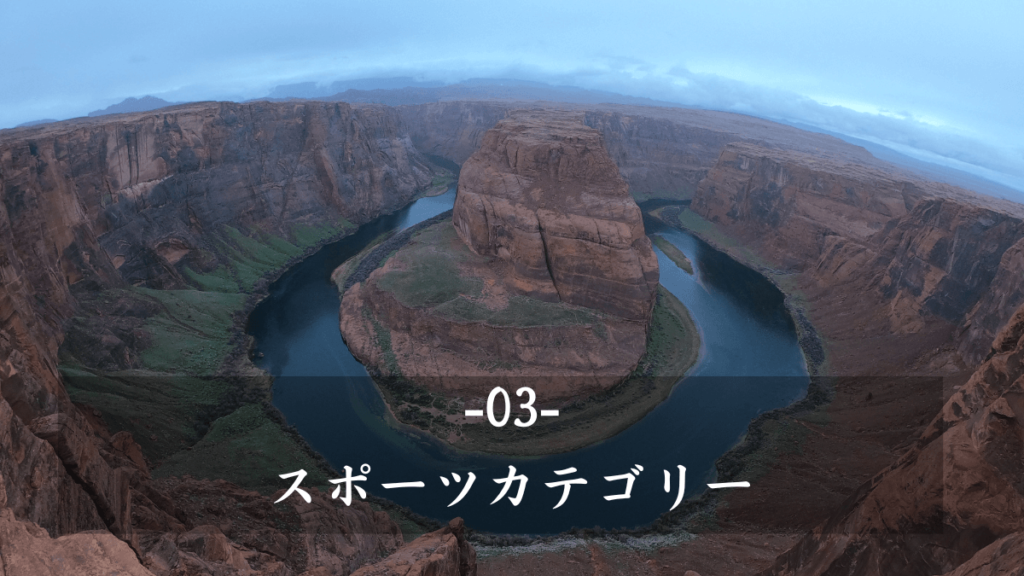 3:アメリカの大学でのスポーツカテゴリー