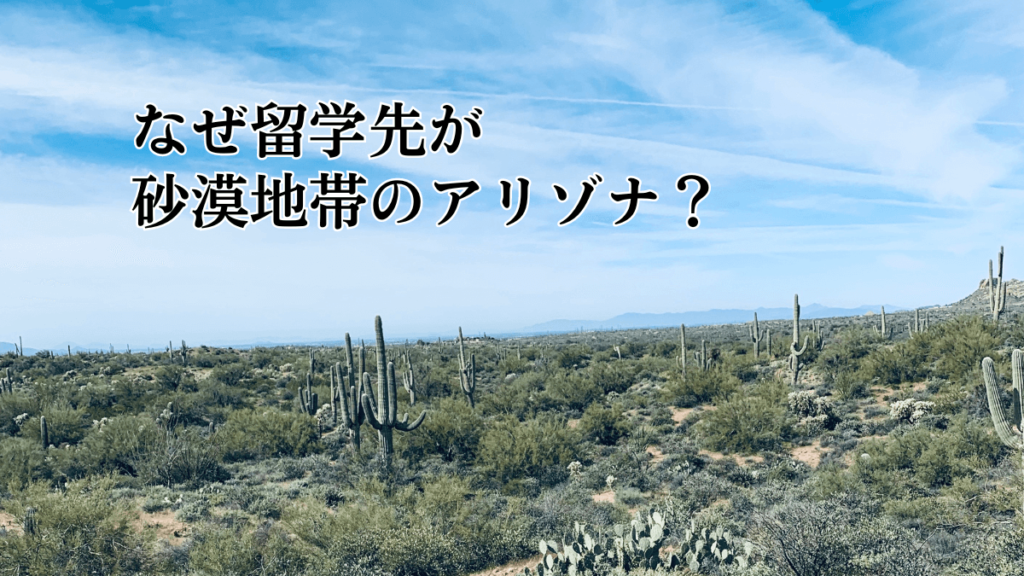 なぜ留学先が砂漠地帯のアリゾナ?