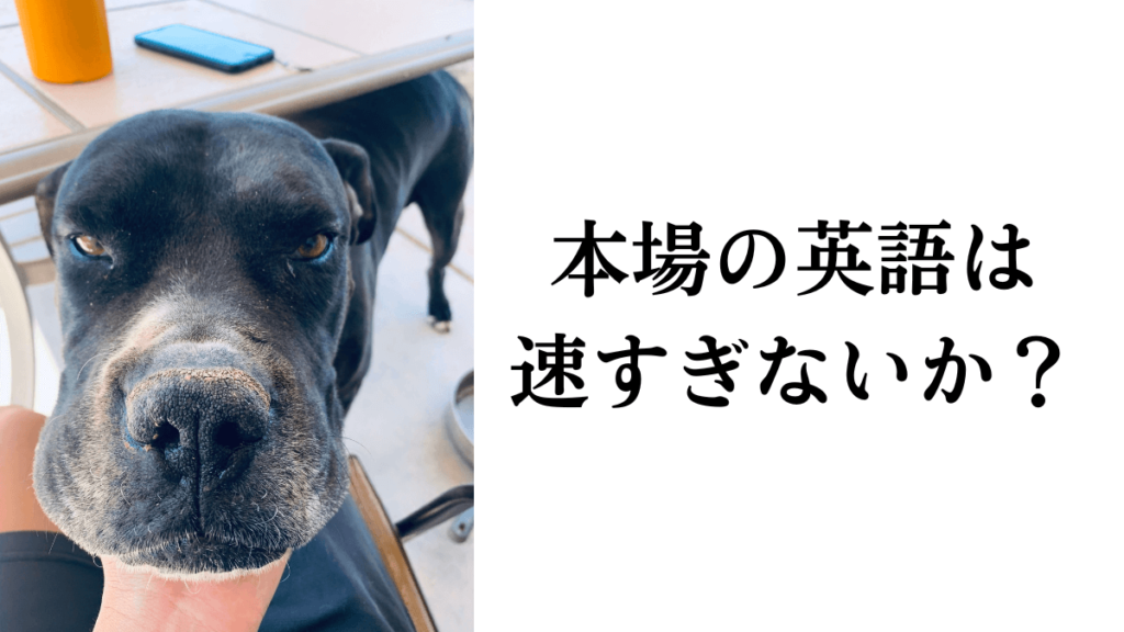 本場の英語のスピードは桁違い
