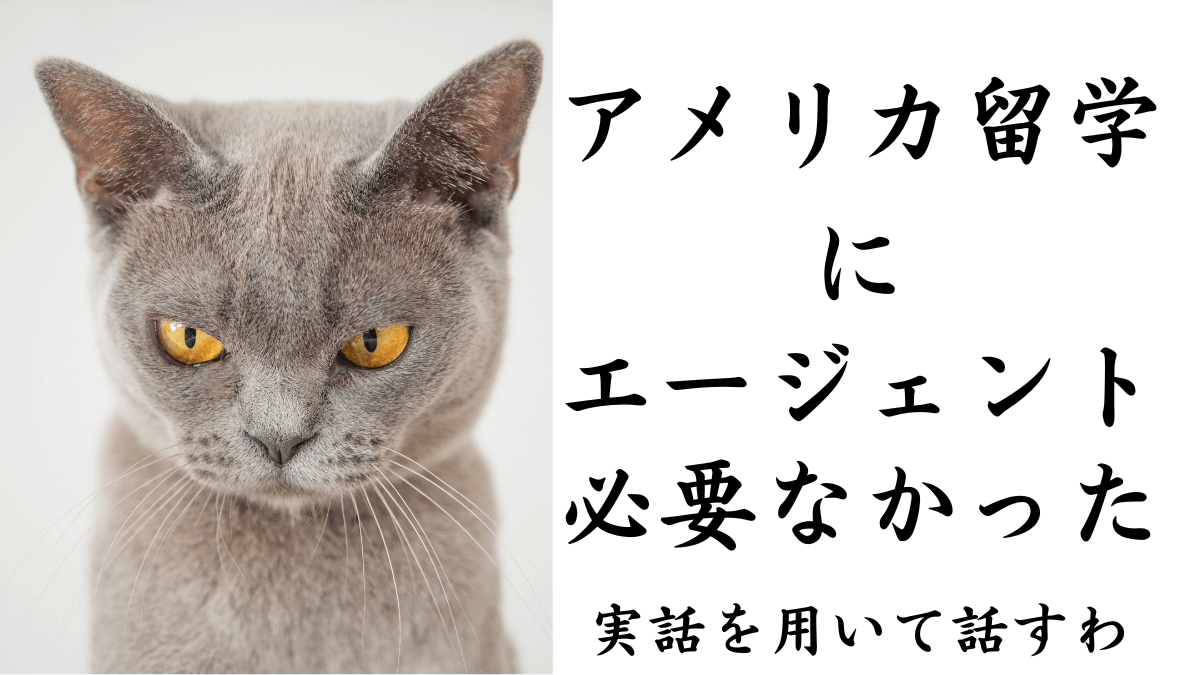 アメリカ留学にエージェントは必要ない。