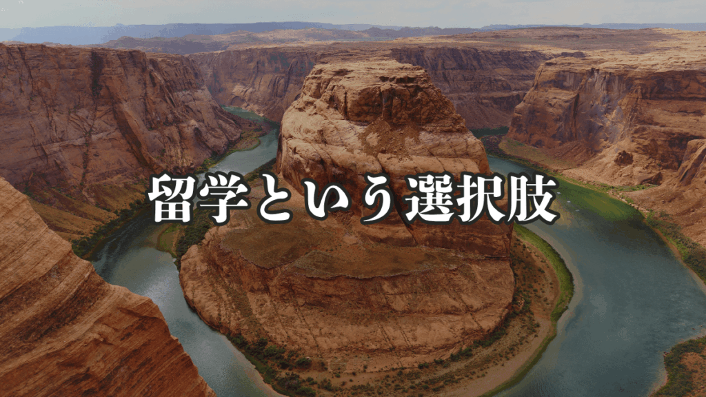 留学って結局どうなの?