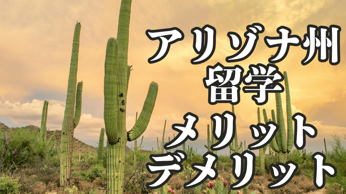 【アメリカ留学情報】アリゾナ州での留学｜メリット＆デメリット