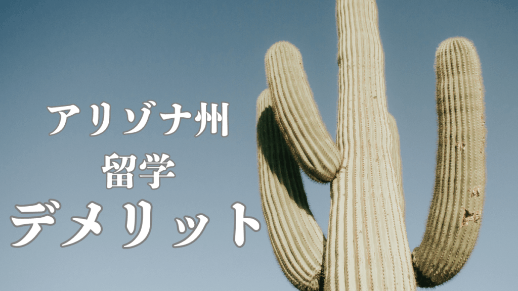アリゾナ州での留学デメリット。