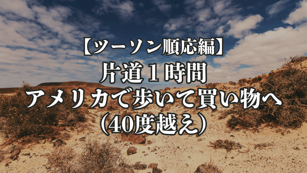 【ツーソン順応編】第13話|片道1時間、アメリカで歩いて買い物行く(40度超え)